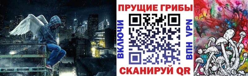 Галлюциногенные грибы GOLDEN TEACHER  наркотики  Зверево 