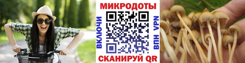 Псилоцибиновые грибы MAGIC MUSHROOMS Зверево